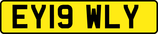 EY19WLY