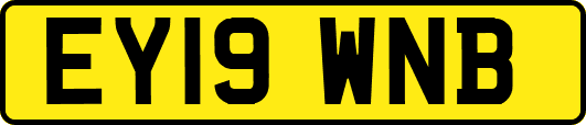EY19WNB