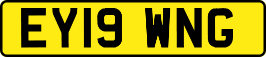 EY19WNG