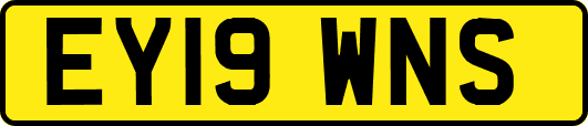 EY19WNS