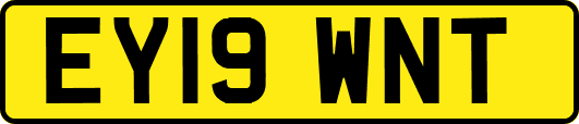 EY19WNT