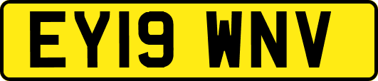 EY19WNV