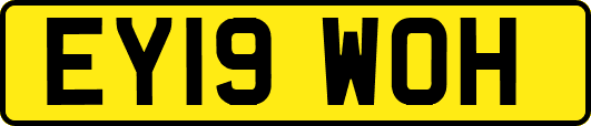 EY19WOH