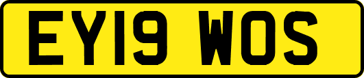 EY19WOS