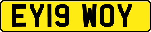 EY19WOY
