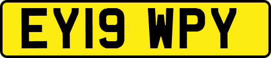 EY19WPY