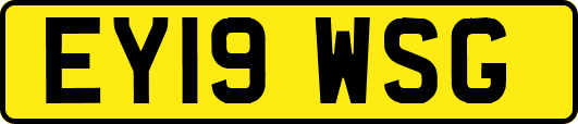 EY19WSG