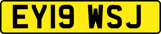 EY19WSJ