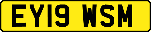 EY19WSM