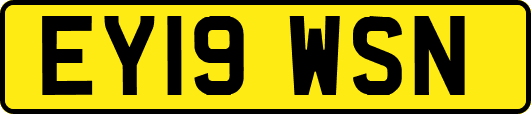 EY19WSN
