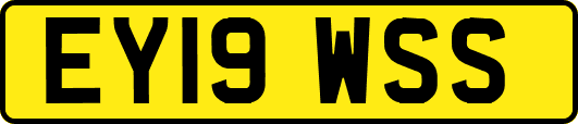 EY19WSS
