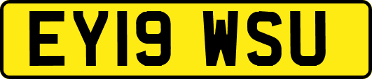 EY19WSU