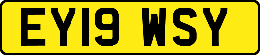 EY19WSY