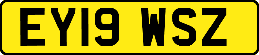 EY19WSZ