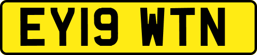 EY19WTN