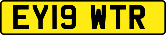 EY19WTR