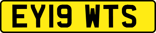 EY19WTS