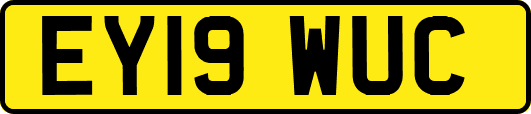 EY19WUC