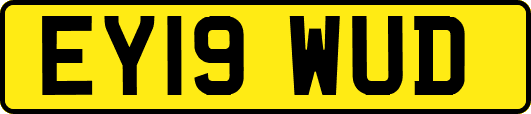 EY19WUD