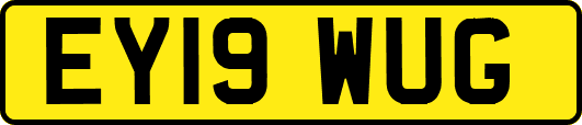 EY19WUG