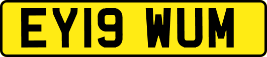 EY19WUM