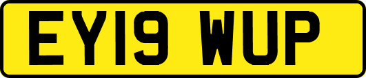 EY19WUP