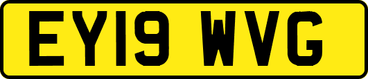 EY19WVG