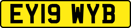 EY19WYB