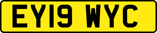 EY19WYC