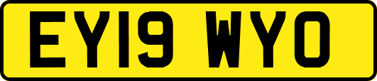 EY19WYO