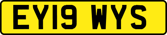 EY19WYS