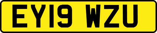 EY19WZU