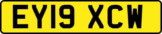 EY19XCW