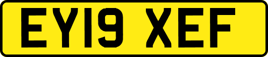 EY19XEF