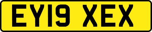 EY19XEX