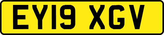 EY19XGV