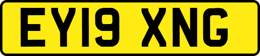 EY19XNG