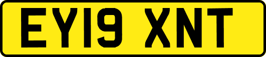 EY19XNT