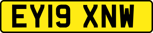 EY19XNW