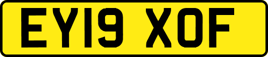 EY19XOF