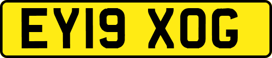 EY19XOG