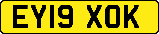 EY19XOK