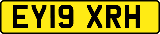 EY19XRH