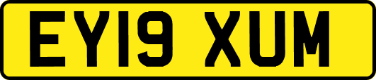 EY19XUM