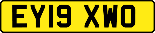 EY19XWO