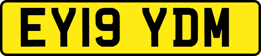 EY19YDM
