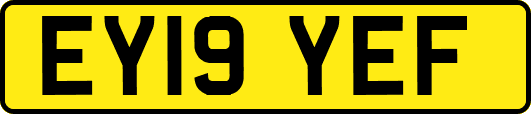 EY19YEF