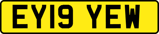 EY19YEW