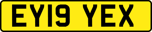 EY19YEX