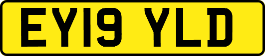 EY19YLD